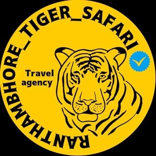 #Ranthambhore tiger safari 🔵