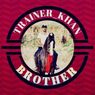 Horse trainer