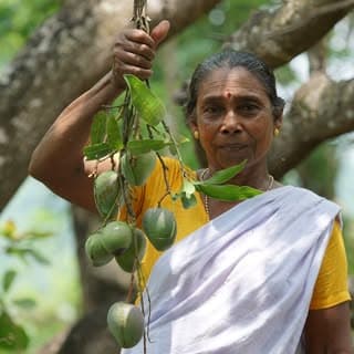 Village Cookings